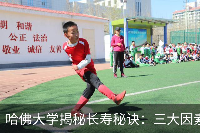哈佛大学揭秘长寿秘诀：三大因素比运动更重要